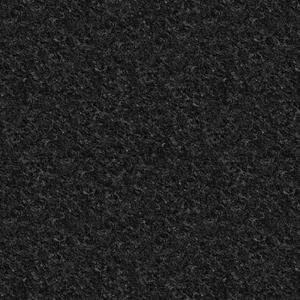Flash Black